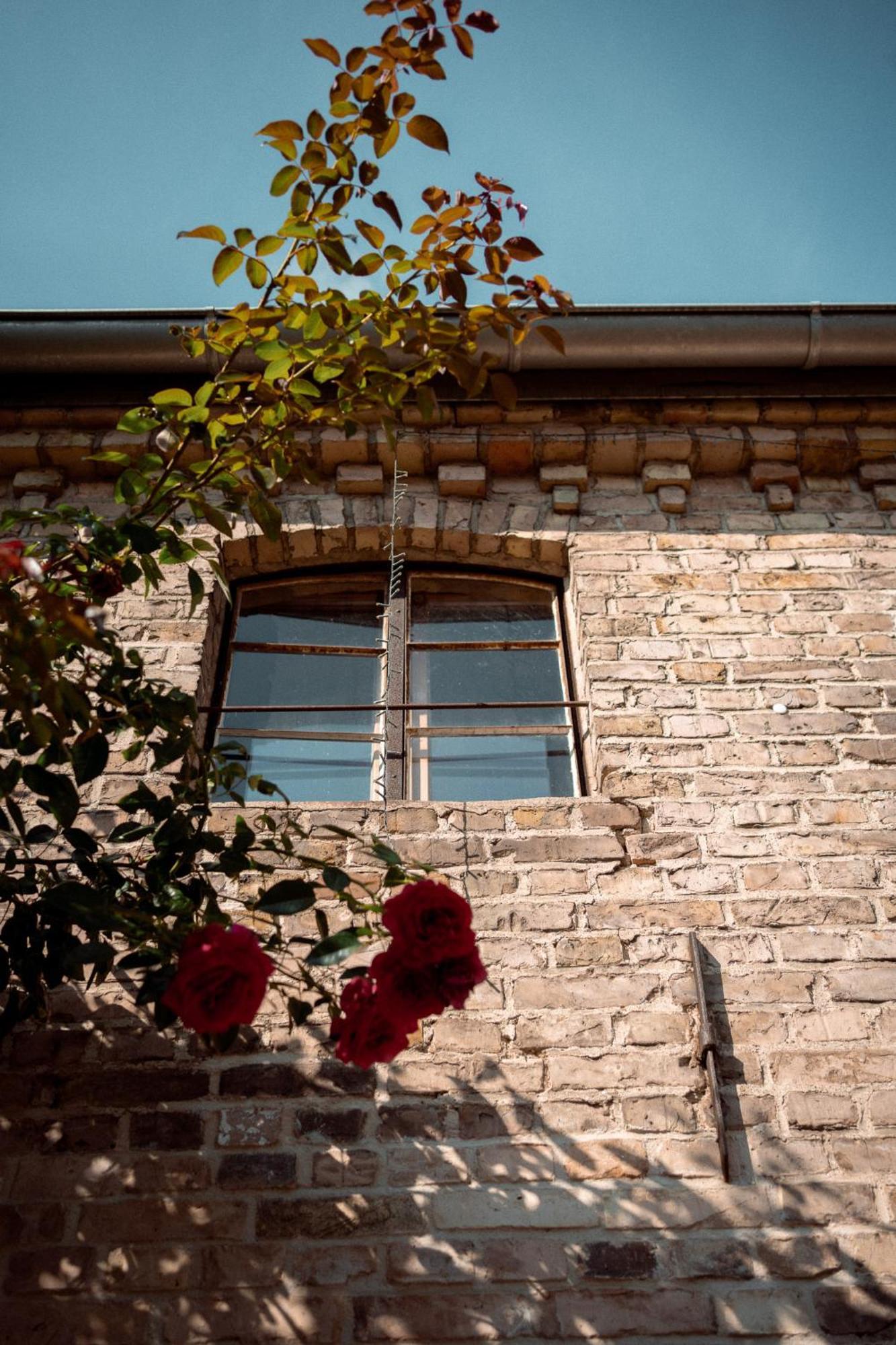 Apartmán Thomashof Klein-Mutz Zehdenick Exteriér fotografie